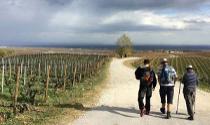 Hike & wine tour from Naoussa - Thessaloniki